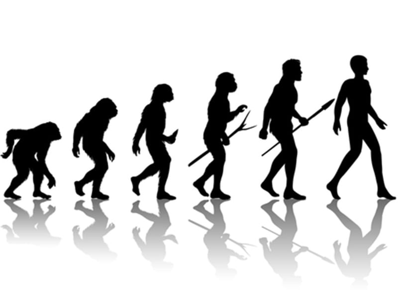 DEJAN HAMPELIĆ: EVOLUCIJA ILI DEVOLUCIJA?