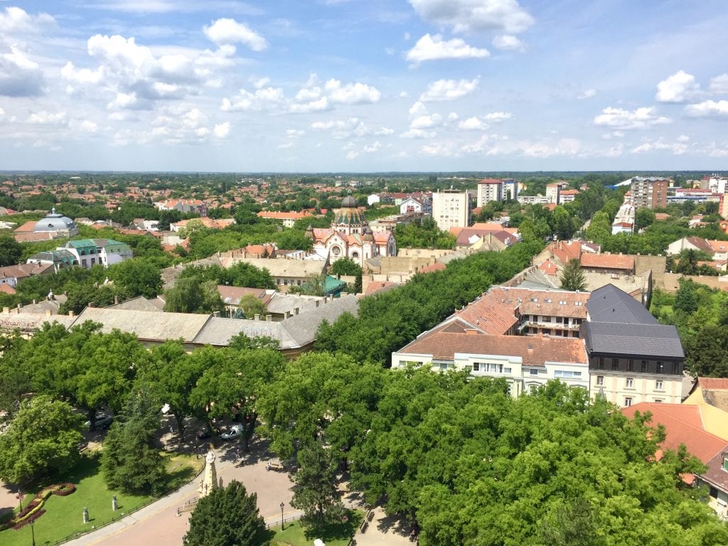 “Zelena oaza” i “IT Subotica 2030” organizuju akciju pošumljavanja Segedinskog i Beogradskog puta