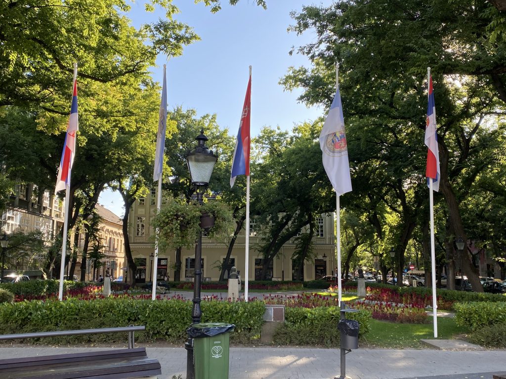 Grad Subotica okićen zastavama, donacija vredna gotovo 2 miliona dinara