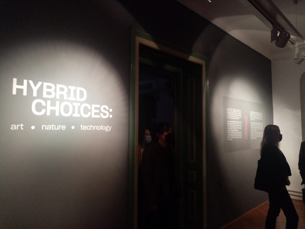 U Savremenoj galeriji otvorena izložba Hybrid Choices – Art, Nature, Technology: Podsticaj za razmišljanje o simbiozi prirode i tehnologije